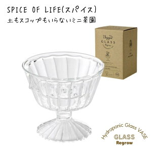 SPICE OF LIFE {xWKXJbv STCY k͔|p KEGY2111