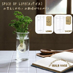 SPICE OF LIFEւ₷ ͔|KXx[X ԕr BULB VASE oux[X NA O V[g a8cm 13`17cm KEGY