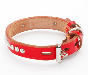 yeBI D 1 v U[ u[ bh {v ^ Č r[O 24mm 27mm 30mm 36mm vꖇŏv ɒZьɂ߂̃tbg^Cv ѐ؂hTChʎdl Petio