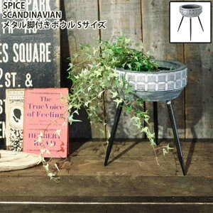 SPICE OF LIFE(XpCX) Jo[  ^rt{E SCANDINAVIAN STCY a29.5cm 31cm O r˂ݎ FJGK2941SW O[