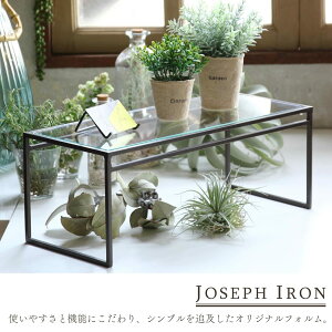 SPICE OF LIFE(XpCX) W KX fBXvC Ch LTCY WZtACA _[NuE 48×20×18cm DTFF2663SW