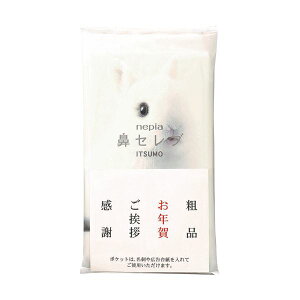 【本日ポイント10倍】(まとめ)王子ネピア ネピア鼻セレブ ITSUMOPLUS 48組 1パック(10個)【×5セット】