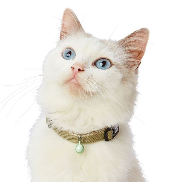 （まとめ） 猫用首輪 ソフトスキップ キャットカラー ブルー （ペット用品・猫用） 〔×3セット〕