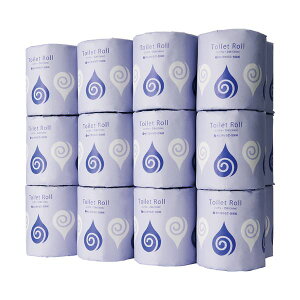 【本日ポイント10倍】(まとめ)TANOSEE トイレットペーパー水に流せる芯&包装紙 シングル 65m 1セット(72ロール:24ロール×3ケース)【×2セット】