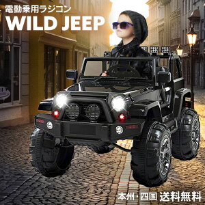 ラジコン カー 大人 のりものおもちゃの人気商品 通販 価格比較 価格 Com