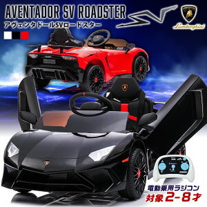 dpWR {M[j AF^h[ SV [hX^[ Lamborghini pߋ dpߋ q   ߋ j̎q ̎q c a v[g NX}X