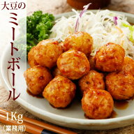 ベジタリアン対応おかず屋さんの業務用大豆ミートボール1kg（100個入）※卵使用