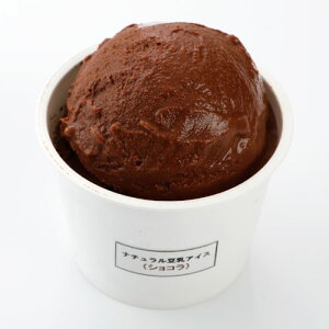 10月30日入荷!ナチュラル豆乳アイス ショコラ 120ml ヴィーガン スイーツ