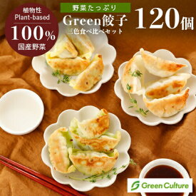 ★4/27まで⇒＼クーポン利用で100円オフ／送料無料！Green 餃子食べ比べ 三色 ヘルシー 菜食 餃子 ぎょうざ 野菜餃子 国産野菜 業務用 【食べ比べ 120個セット】プラントベース 大豆ミート 大豆肉 植物肉 ヴィーガン ベジタリアン【本州送料無料】