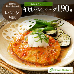 Greenfsano[O t190gino[O110gj 哤~[g Ay O[J`[ B[KΉ vegan vegetarian soy meat