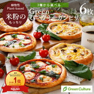 【ポイント必ず3倍！】9/11 23:59まで★Green 米粉のもっちりミニ ヴィーガンピザ 6枚セット【本州・四国…