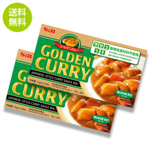 �y���������z�y2�Z�b�g�zSB�S�[���f���J���[ �����������s�g�p 1kg×2�� Golden Curry