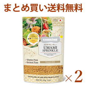 パルメザンチーズ風味 100g×2袋 乳製品不使用 東京バル KAWAIINE グルテンフリー ポスト投函送料無料