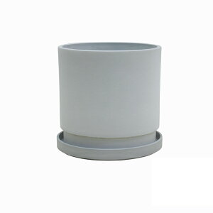 yGreenshipzSiikCEEj Aؔ v^[ K[fjO  y  O ɂ₳ vX`bN ϗtA @\Aؔ |pi A 