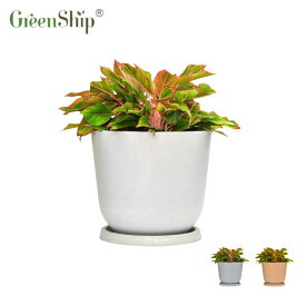 【Greenship】全品送料無料（北海道・沖縄・離島除く）植木鉢 プランター ガーデンニング おしゃれ 軽量 屋内 屋外 環境にやさしい プラスチック 観葉植物 多機能植木鉢 園芸用品 受け皿付き セット 12号 3年保証