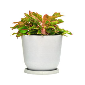 【Greenship】全品送料無料（北海道・沖縄・離島除く）植木鉢 プランター ガーデンニング おしゃれ 軽量 屋内 屋外 環境にやさしい プラスチック 観葉植物 多機能植木鉢 園芸用品 受け皿付き セット 12号 3年保証