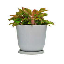 【Greenship】全品送料無料（北海道・沖縄・離島除く）植木鉢 プランター ガーデンニング おしゃれ 軽量 屋内 屋外 環境にやさしい プラスチック 観葉植物 多機能植木鉢 園芸用品 受け皿付き セット 12号 3年保証