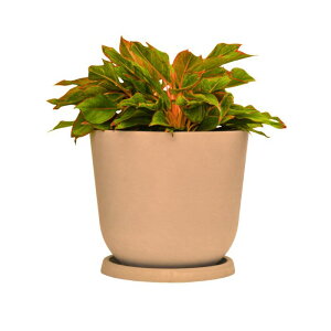 yX[p[DEAL SX10OFFIɃN[|10IzSiikCEEjAؔ v^[ K[fjO  y  O ɂ₳ vX`b