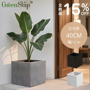 yX[p[DEAL 15OFFIɃN[|10IzGreenship ^v^[{bNX 15×15cm ` Aؔ AJo[ y r St Op  K[fjO 