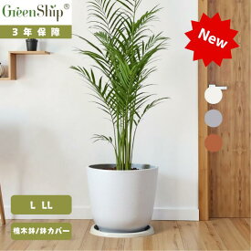【Greenship】全品送料無料（北海道・沖縄・離島除く）植木鉢 プランター ガーデンニング おしゃれ 軽量 屋内 屋外 環境にやさしい プラスチック 観葉植物 多機能植木鉢 園芸用品 受け皿付き セット 8号 3年保証