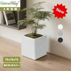 Greenship 小型プランターボックス 15×15cm 正方形 植木鉢 鉢植えカバー 軽量 排水穴あり ゴム栓付き 室内外兼用 おしゃれ ガーデニング モダンデザイン 全品送料無料（北海道・沖縄・離島除く）