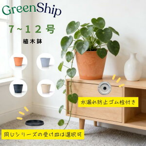 Greenship �A�ؔ� �G�R�� 7�`12�� ���� + �V�R�� ���J�o�[ ������� ��^ �v�����^�[ �y�� �C���e���A �k�� ���M�L���I���� ���� �A�� �ϗt�A�� 7�� 8�� 10�� 12���@�y�[���N���C ���C�g�O���[ �e��