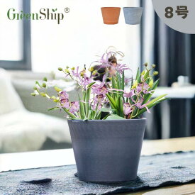 Greenship 植木鉢 プランター ガーデンニング おしゃれ 軽量 屋内 屋外 環境にやさしい プラスチック 観葉植物 多機能植木鉢 園芸用品 石材のような質感 受け皿別売 8号 3年保証 全品送料無料（北海道・沖縄・離島除く）