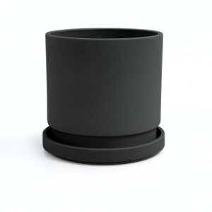 Aؔ @GreenShip@ 4~5~7~10 vX`bN + VR  ^ v^[ y CeA k Vv@ M t  A ϗtA zCg O[ ubN Si