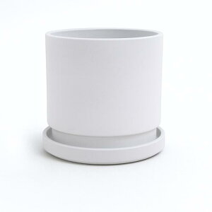 �A�ؔ� ���@GreenShip�@ 4��~5��~7��~10�� �v���X�`�b�N + �V�R�� ������� ��^ �v�����^�[ �y�� �C���e���A �k�� �V���v���@ ���M �t�� ���� �A�� �ϗt�A�� �z���C�g �O���[ �u���b�N �S�i������