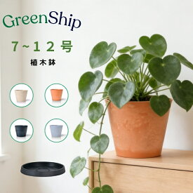 Greenship 植木鉢 エコ鉢 7～12号 樹脂 + 天然石 鉢カバー おしゃれ 大型 プランター 軽い インテリア 北欧 鉢皿有料選択可 お花 植物 観葉植物 7号 8号 10号 12号　ペールクレイ ライトグレー テラコッター ブラック 全品送料無料（北海道・沖縄・離島除く）