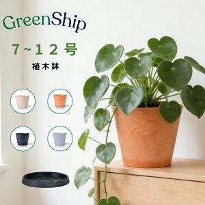 Greenship �A�ؔ� �G�R�� 7�`12�� ���� + �V�R�� ���J�o�[ ������� ��^ �v�����^�[ �y�� �C���e���A �k�� ���M�L���I���� ���� �A�� �ϗt�A�� 7�� 8�� 10�� 12���@�y�[���N���C ���C�g�O���[ �e��