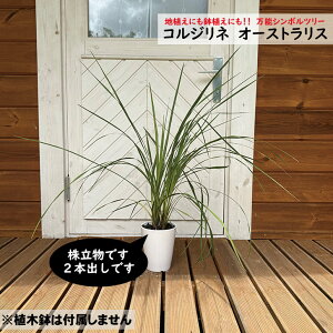 RWl@I[XgX@@5|bg@cd257