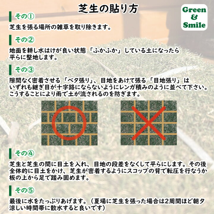 楽天市場】高麗芝【2束、10束、14束、20束、30束】 高品質 芝・芝生 芝生　14束