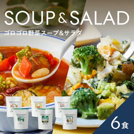 ＼ポイント5倍／楽天1位 スープ サラダ 6食 グリーンスプーン 野菜 惣菜 冷凍食品 おかず 置き換え ダイエット 時短 食べ比べ 送料無料