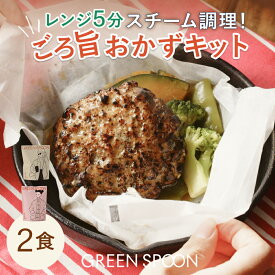 楽天1位 おためし ハンバーグ 惣菜 おかず 冷凍食品 2食 グリーンスプーン ｜ミールキット 野菜 グルメ 高級 低カロリー レンジ5分 ランチ 在宅 夕食 夜食 お惣菜 惣菜 送料無料 翌日配送