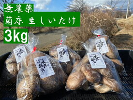 【産地直送販売】 無農薬 菌床 生しいたけ 3kg