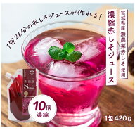 [ 420g大容量 3包・ 5包 ] 濃縮 赤しそジュース シロップ 420g / 無農薬 化学肥料不使用 送料無料 国産 …