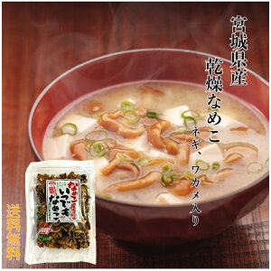 Ȃ߂̂łȂ߂ 25g / Ă܂! Z!  ̂ Y Ȃ߂ iR LmR 蕨 v[g yY lC {錧Y y 邾 ȒPLmR Ȃ߂` 