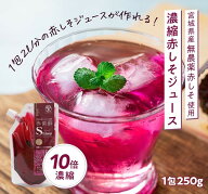 [ 1包・ 3包 ] 濃縮 赤しそジュース シロップ 250g / 無農薬 化学肥料不使用 送料無料 国産 しそ シソ 紫…