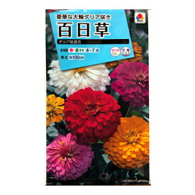 タキイ 百日草 ダリア咲混合 2.5ml 約35本分 花種 切り花 花壇