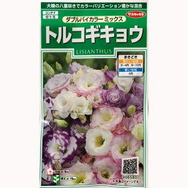 トルコギキョウ ダブルバイカラーミックス 0.2ml 約45粒 サカタのタネ 花種 実咲シリーズ コンテナ 切り花 耐寒性1～2年草