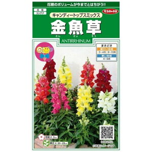 金魚草　キャンディートップスミックス　30粒　約60本分　サカタのタネ　花種　　花壇　コンテナ　切り花
