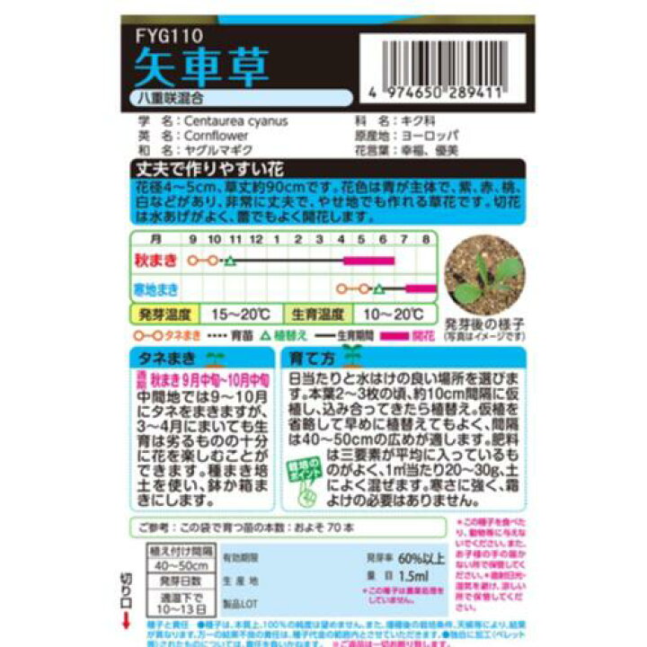 楽天市場 矢車草 八重咲混合 １ ５ｍｌ およそ７０本分 タキイ 切り花 花壇 プランター 花言葉 幸福 優美 種と苗の店 グリーンサム
