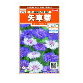 矢車菊　平山寒咲き八重　混合　サカタのタネ 花種　実咲シリーズ