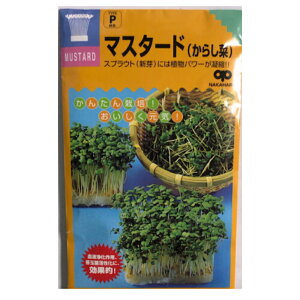 }X^[h(炵)@XvEg 25ml蒆̎