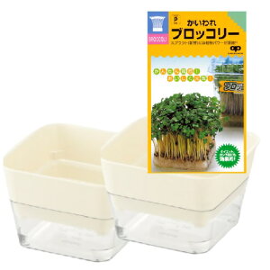 XvEg͔|Zbg@(IׂƗei12^j2̃Zbg) @Lb`TCh ȒP؉ ƒ؉ k͔|