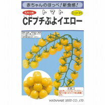 ぷちトマト　ヌード あうろり  楽天市場】プチトマト ロリの通販