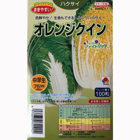 タキイ交配　ハクサイ　オレンジクイン　ペレット100粒入り 白菜　家庭菜園 タネ 種