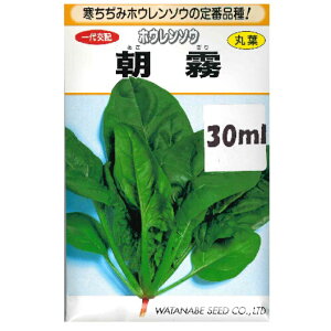 z zE\E 30ml ݃zE\E̒ԕiIƒ؉ ^l