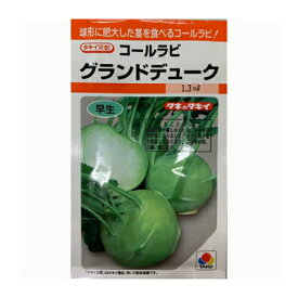 タキイ交配 コールラビ グランデューク　1.3ml入り 家庭菜園 種　タネ